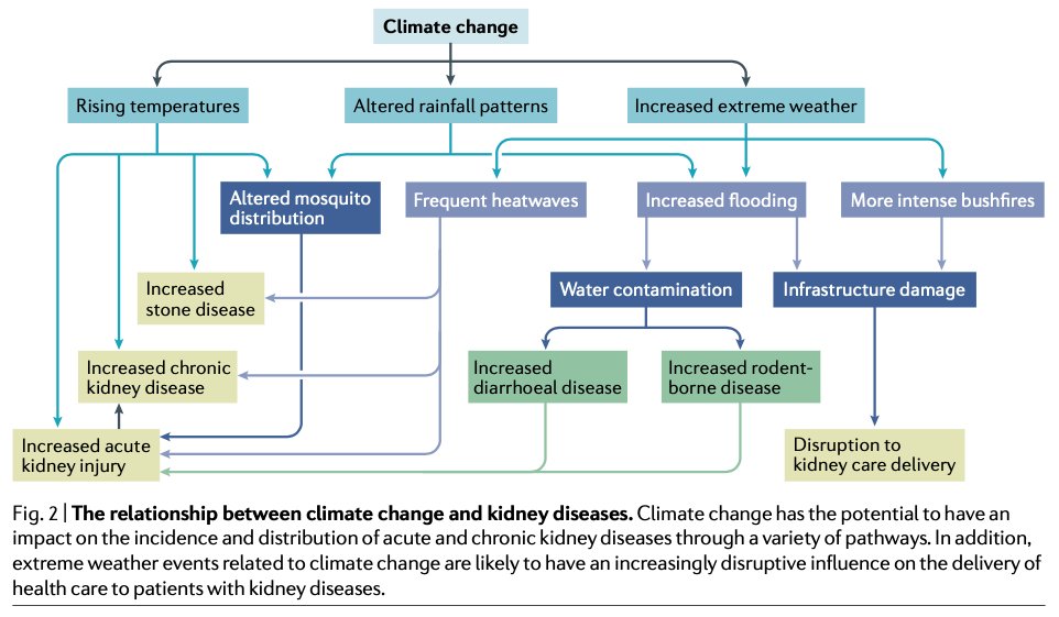 Katherine Barraclough & John Agar discuss the relationship between climate change & kidney disease and highlight current and future opportunities to reduce the carbon footprint of kidney care delivery, focusing on dialysis:  https://www.nature.com/articles/s41581-019-0245-1  #UNDay  #kidneyhealth  #SDGs  #UN75