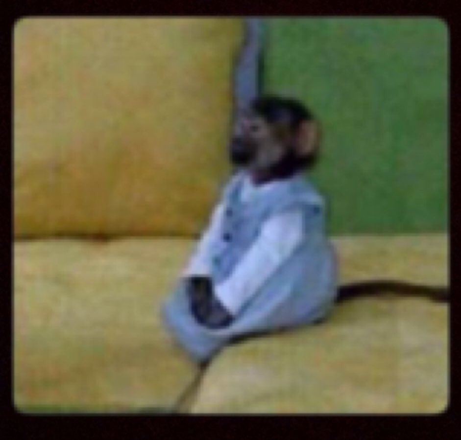 #الاختبارات_النهاييه حرام عليكوووو