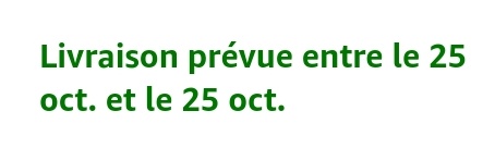 DukeBast's tweet image. Waouh première fois que je vois ça peut être à cause du changement d'heure il y a une faille temporelle pour la livraison de mon colis?