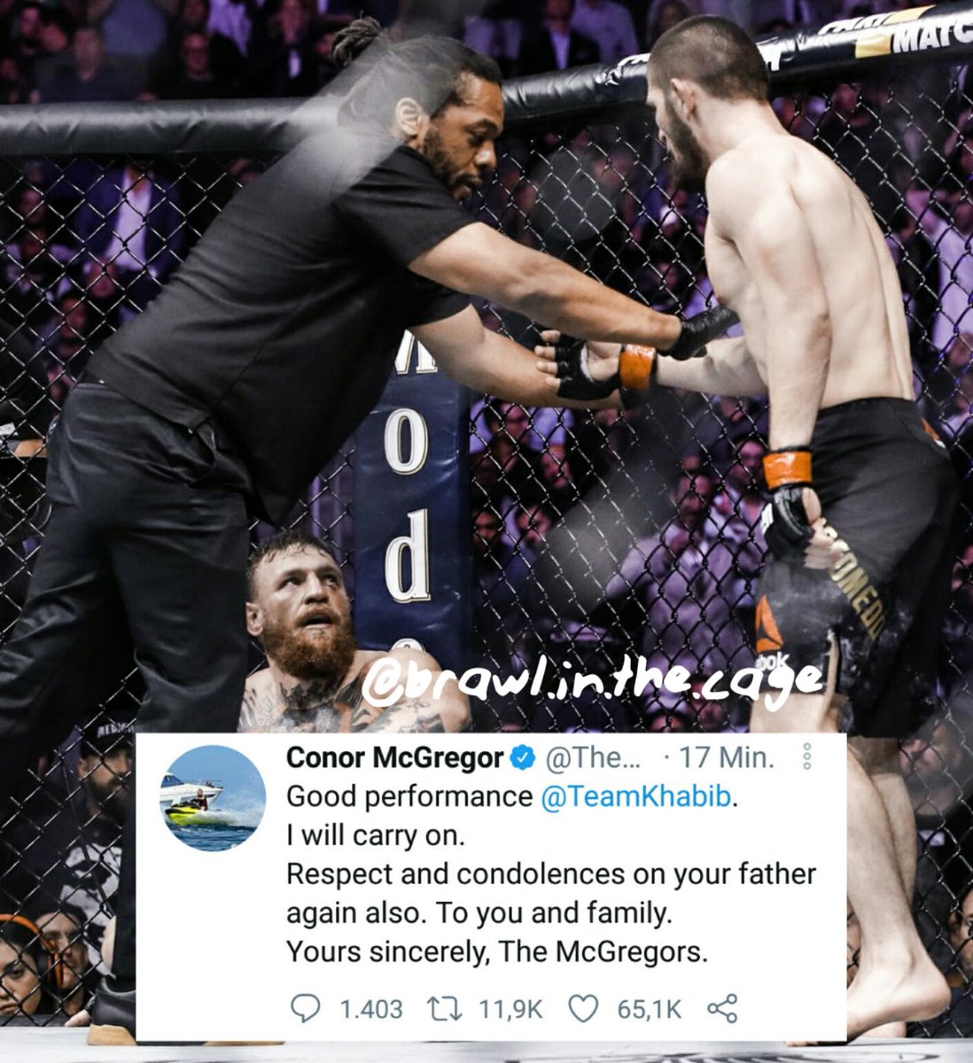 Brawl in the Cage tweet media