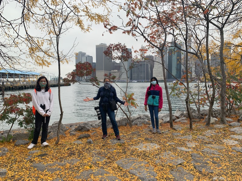 Birding at the Bridge with two amazing young female birders—great to have their sharp spotting skills in the patch today! #birding #youngbirders #nyc #brooklyn