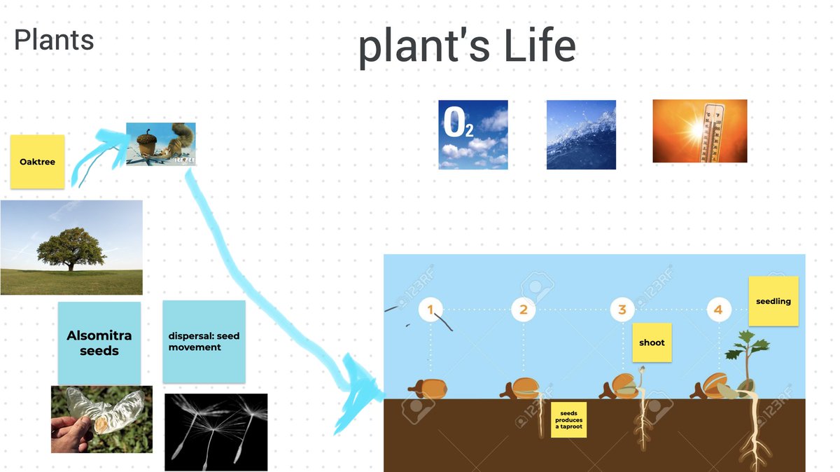 adoptedelf's tweet photo. Session 2, Science As a Lever for Language & Lit. w/2nd & 3rd grade @AlisalUSD rockstar educators. Creating group posters using @googlejamboard to communicate life-cycles of organisms to answer the guiding question how do animals’ life cycles help them survive? #listenstopsketch https://t.co/AaDkbqC5rA