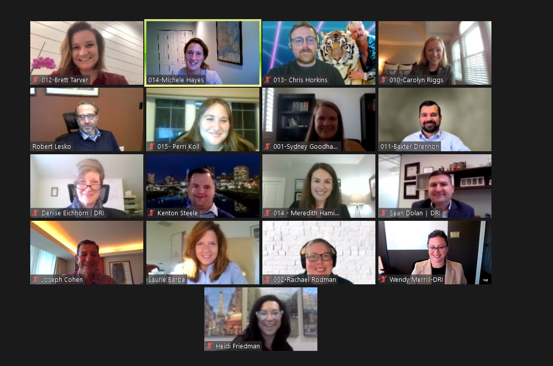 DRIYoungLawyers's tweet photo. DRI Young Lawyers networking at DRI's Virtual Annual Meeting #DRIVAM #DRIYLS #DRI #ZOOMHAPPYHOUR https://t.co/AmVcho6U6L