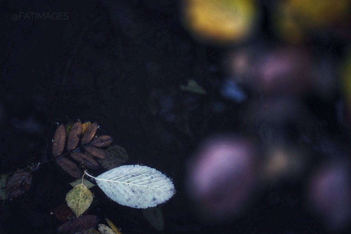 fatimages's tweet photo. Luces de 𝒪𝓉𝑜ñ𝑜
#Soria #paseos #otoño #blue #minimal https://t.co/zVEmqYcXBQ