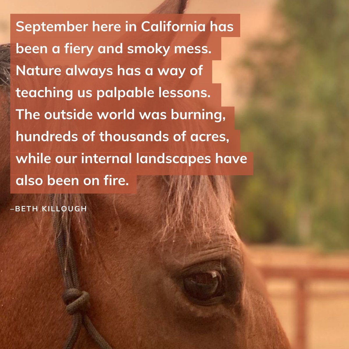 thecircleup's tweet photo. We’re located in the south Bay Area where we were quite literally surrounded by mega fires for almost two weeks. https://t.co/7RhJFxjpad #wildfires #community https://t.co/ajfxnMIFuJ