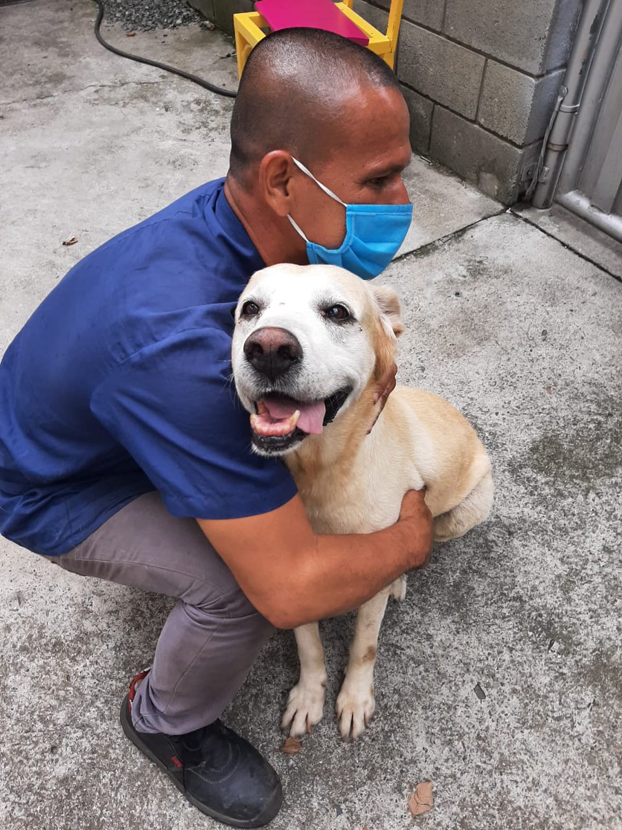 calioknoticias's tweet photo. SERVICIO SOCIAL, MÁXIMA DIFUSIÓN ❗
Buenas tardes para que nos ayuden a difundir esta foto. Este perro se encuentra perdido, lo tenemos en la estación de servicio terpel cañasgordas. La dirección es calle 18 #114b 40 ciudad jardín. Es un perro macho, labrador. 🆗 https://t.co/wy0JhSk0Cn