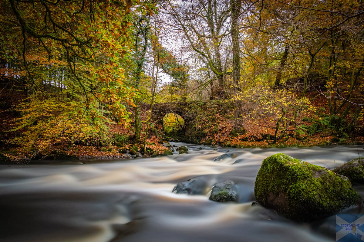 scotdrone's tweet photo. Autumn in Carron Glen at Fankerton near Denny 🍁🍂🍁🍂 #fankerton #denny #falkirk #visitfalkirk #scotland #visitscotland #autumn https://t.co/yuFo0hCYNo