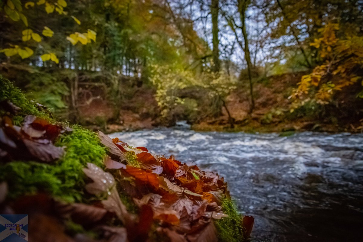 scotdrone's tweet photo. Autumn in Carron Glen at Fankerton near Denny 🍁🍂🍁🍂 #fankerton #denny #falkirk #visitfalkirk #scotland #visitscotland #autumn https://t.co/yuFo0hCYNo