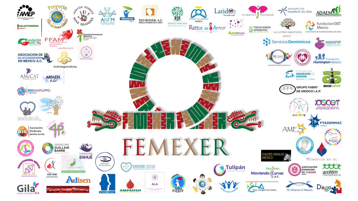 FEMEXER's tweet photo. FEMEXER presente en #ParlamentoAbierto 2020 de la #CámaraDeDiputados para hablar sobre el  #FondodeSaludparaelBienestar https://t.co/mcDp2BMMK4