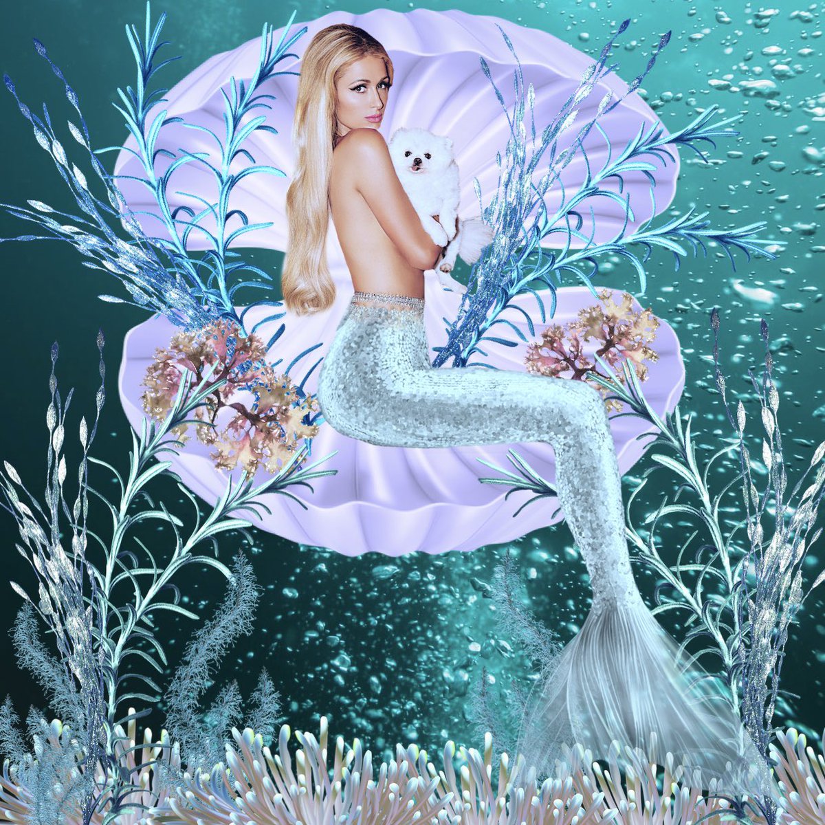 ParisHilton's tweet photo. Be a Mermaid in a sea of fish. ✨✨✨🧜🏻‍♀️ ✨✨✨ https://t.co/6jGWhjsNMO