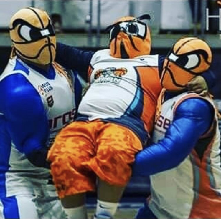 JimmyRZM's tweet photo. @manulozano @clubsoles @LNBPoficial @Beeman_Oficial @AstrosJalisco @DoradosChih @Fuerza_Regia @AguacaterosMich Por supuesto por mis amigos de @LibertadoresOfi #Torcho #MiniTorcho y #BabyTorcho https://t.co/QySWFUiqJz