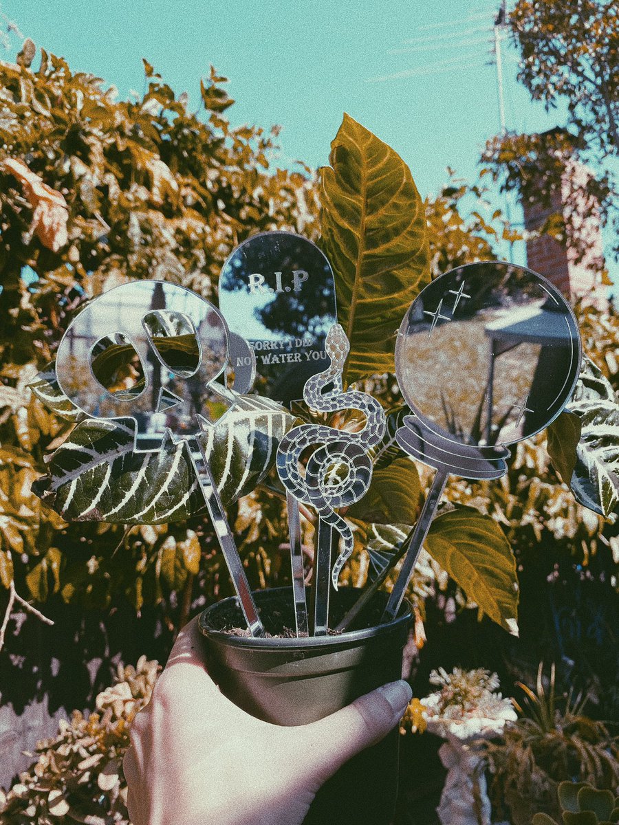 radbumma's tweet photo. Retweeting this post would really help my small business! It may not seem like a big deal to you but it HELPS!🥺

Available NOW in my shop✨🖤 made by me! Hand poured soy candles, mirrored plant stakes, earrings, mirrors, and resin art is available ✨ https://t.co/vLHtQvoMIj https://t.co/FpIyYF71Ab