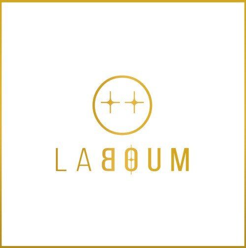 Sybil_Leigh's tweet photo. @illustrivus @eunf_g The difference is the ++ Laboum's Puppet logo has a more rounded circle in the middle of theirs and Loona's was ++, So it is and isnt the same thing to some people. Honestly I support both groups and think they are both talented. https://t.co/2tidjtfcwT