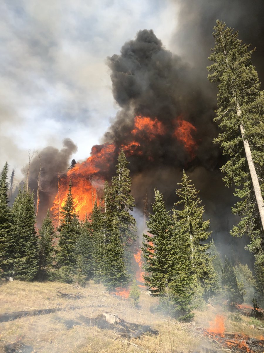 Photos capturing the strength of the #EastTroublesomeFire this week. We’ll have more on tonight’s Weekend News ⁦@OmarVillafranca⁩