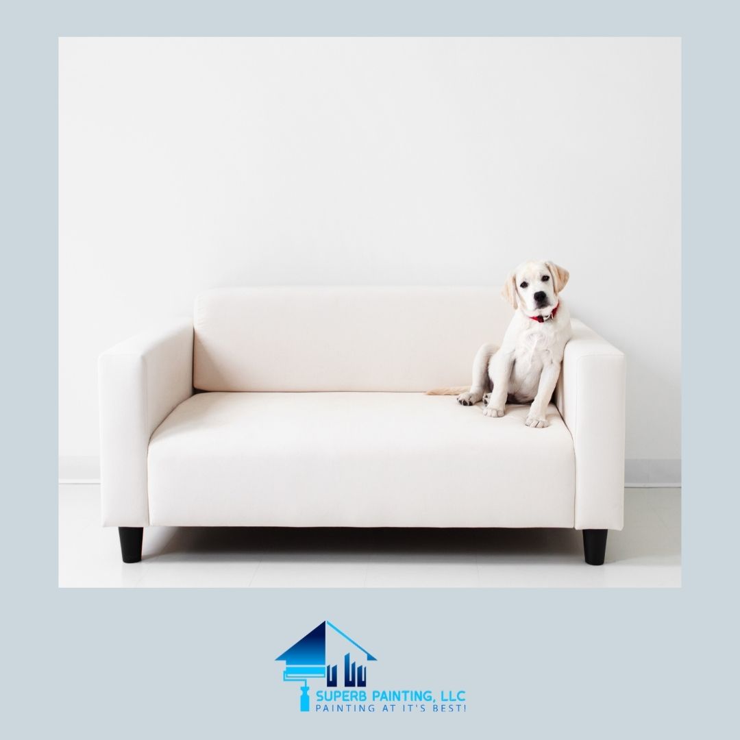 Fido wants to know when you're going to finally paint this wall! 😉 

Get a FREE estimate: superb-painting.com/contact-us/

#OmahaNebraska #OmahaHomes #OmahaRealEstate #dogs #dog  #dogoftheday #pets #doglife
