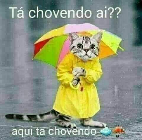 Vítor Almeida tweet media