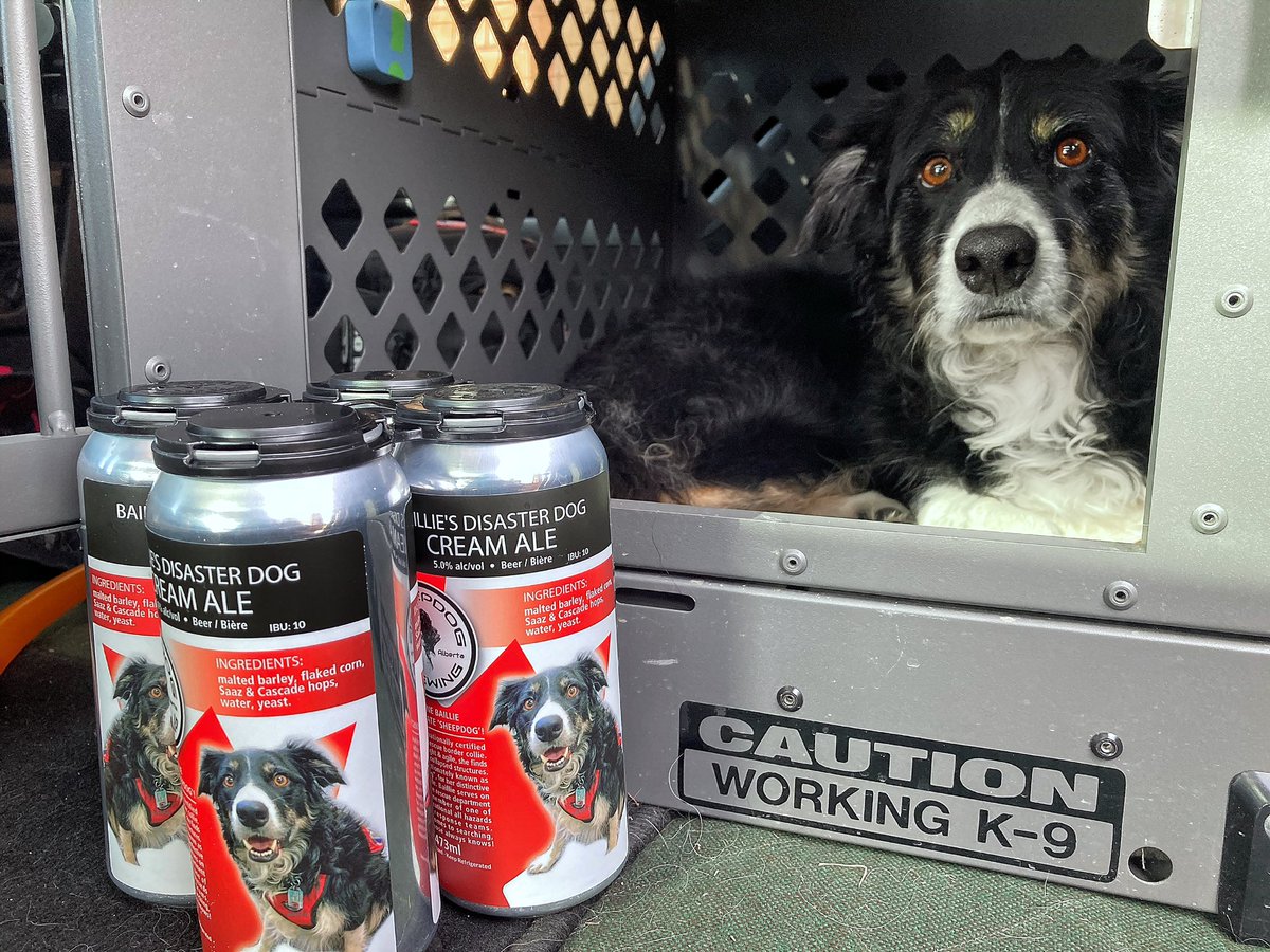 Kit_K9's tweet photo. MMMMM YUMMY!
#DisasterDog #CreamAle #SheepDogBrewing #MicroBrewery https://t.co/OuWI6yXw37