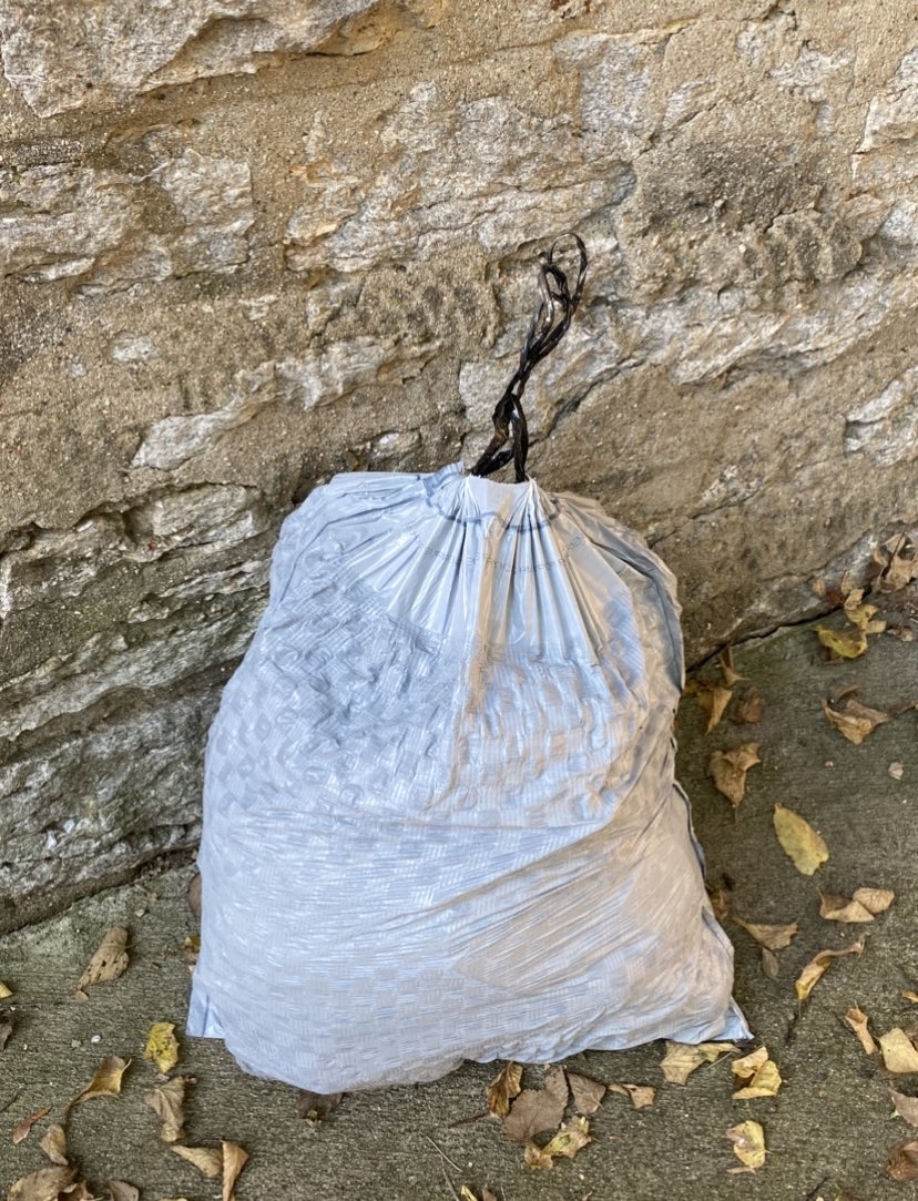 Ashley Jenkins tweet media