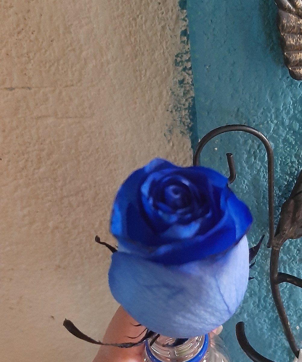 Patito0609's tweet photo. Conquistada 😍🤩🥰 https://t.co/FQkvMANtSA