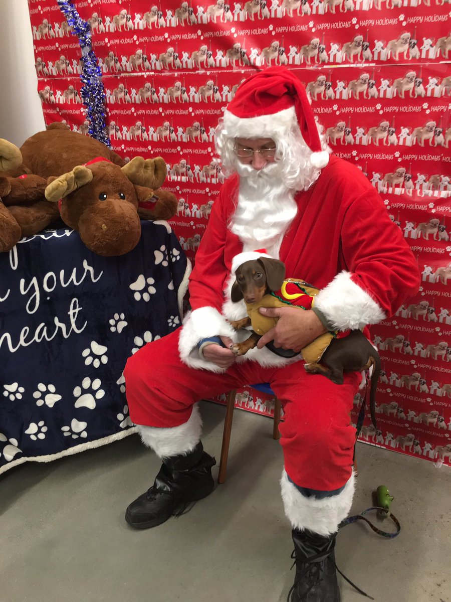 it is dogtober twenty-fourth & it will always be dogtober in our hearts