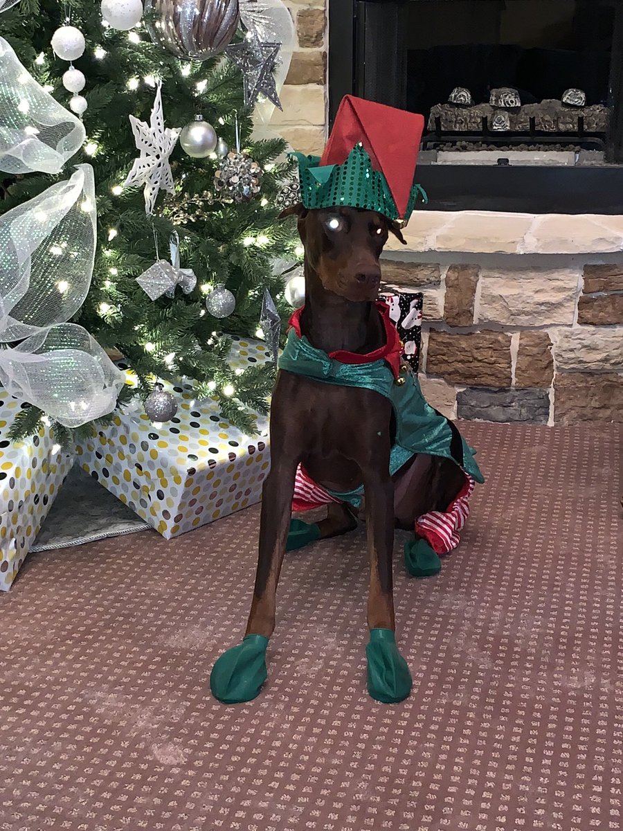 DFWGOAT's tweet image. RIP TO MY DAY1 !! DOOBIE ❤️LOVE U ALWAYS !