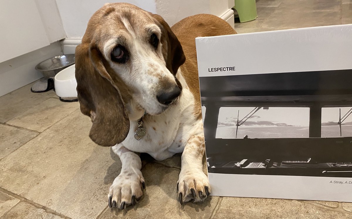 douglas208's tweet photo. Florence with a record. New album out on all the usual channels. #lespectre @dogcelebration https://t.co/NdSeD3EPQL