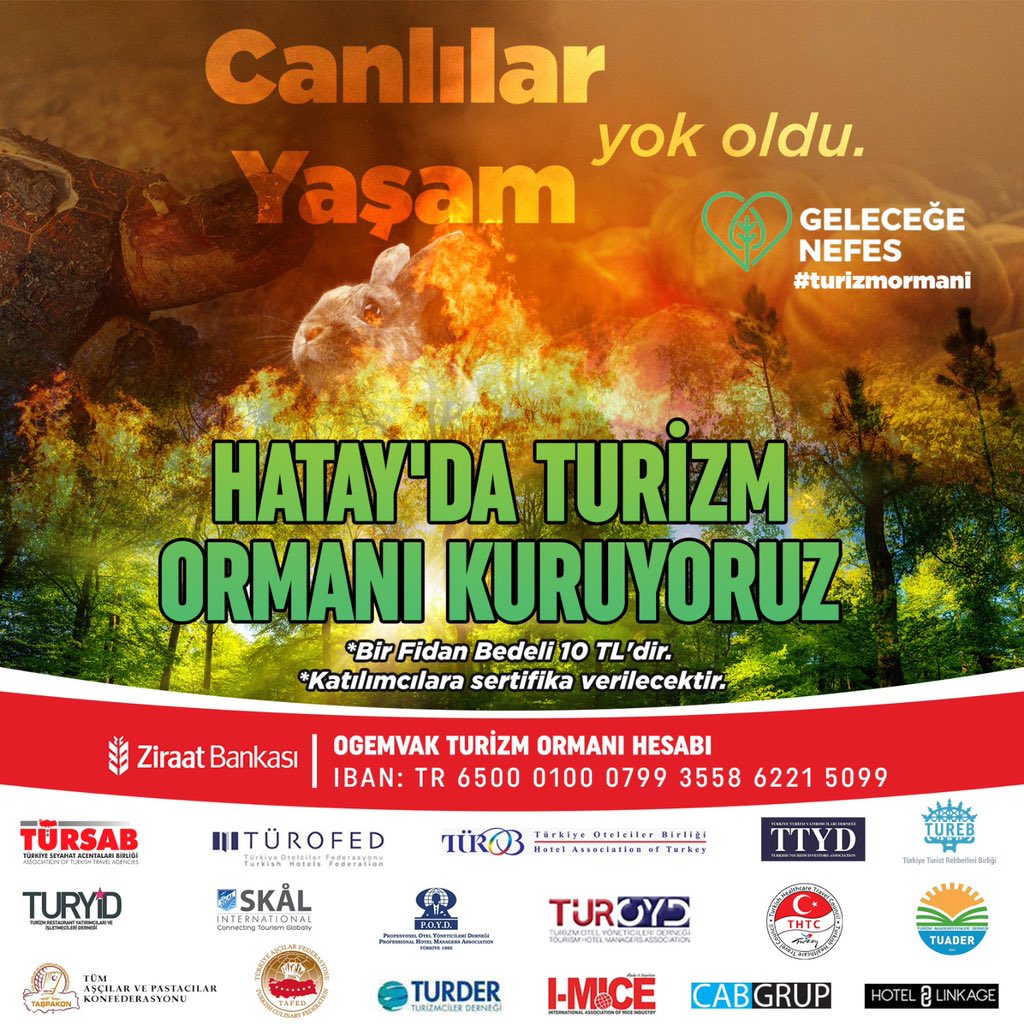 mtconorg's tweet photo. Turizmciler Hatay’a nefes oluyor! Siz de bir fidan bağışlayın, Hatay Turizm Ormanı’nda sizin de dikili bir ağacınız olsun 🌳🌳🌳 #turizmormanı https://t.co/ZG9wHMyXTt