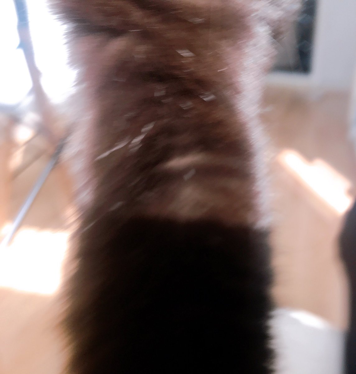 blacksesame_'s tweet image. 1초 전, 1초 후