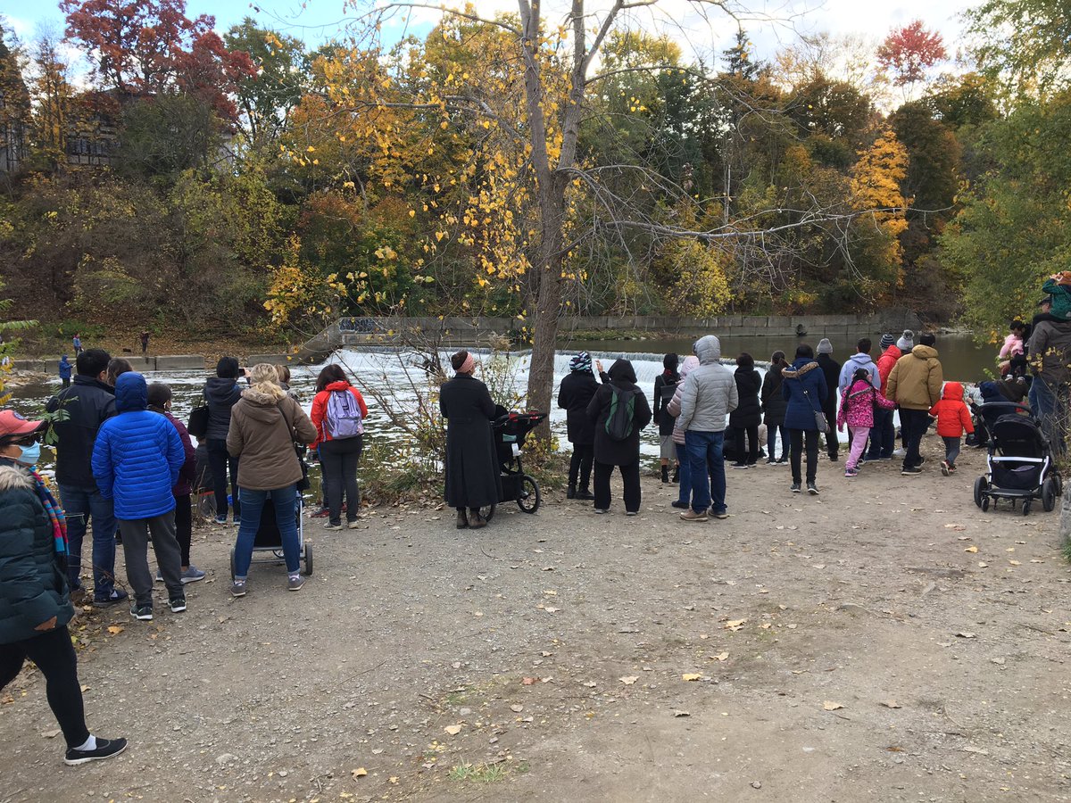 Gil Meslin on Twitter "Best spectator sport in Toronto this weekend