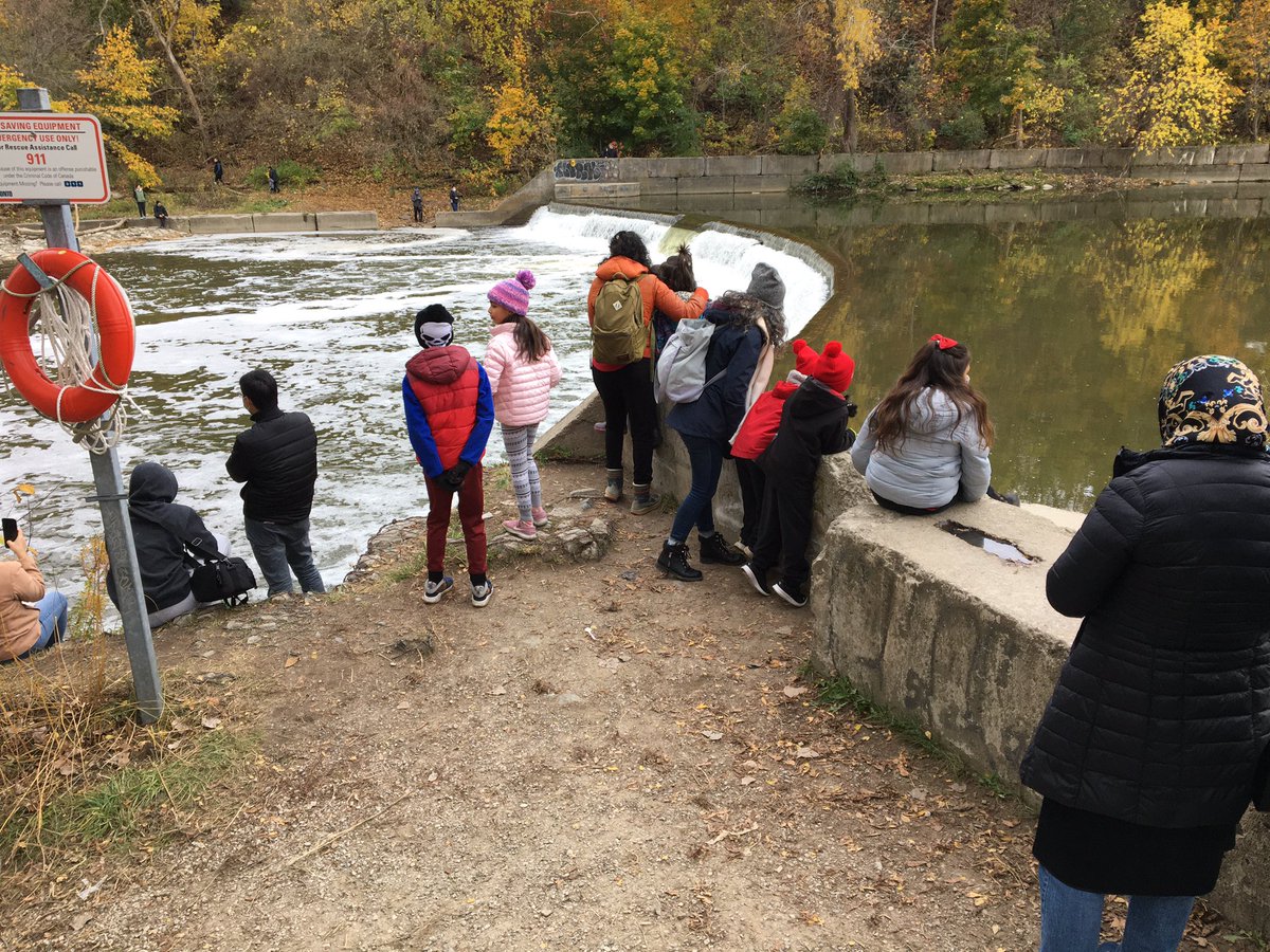 Gil Meslin on Twitter "Best spectator sport in Toronto this weekend