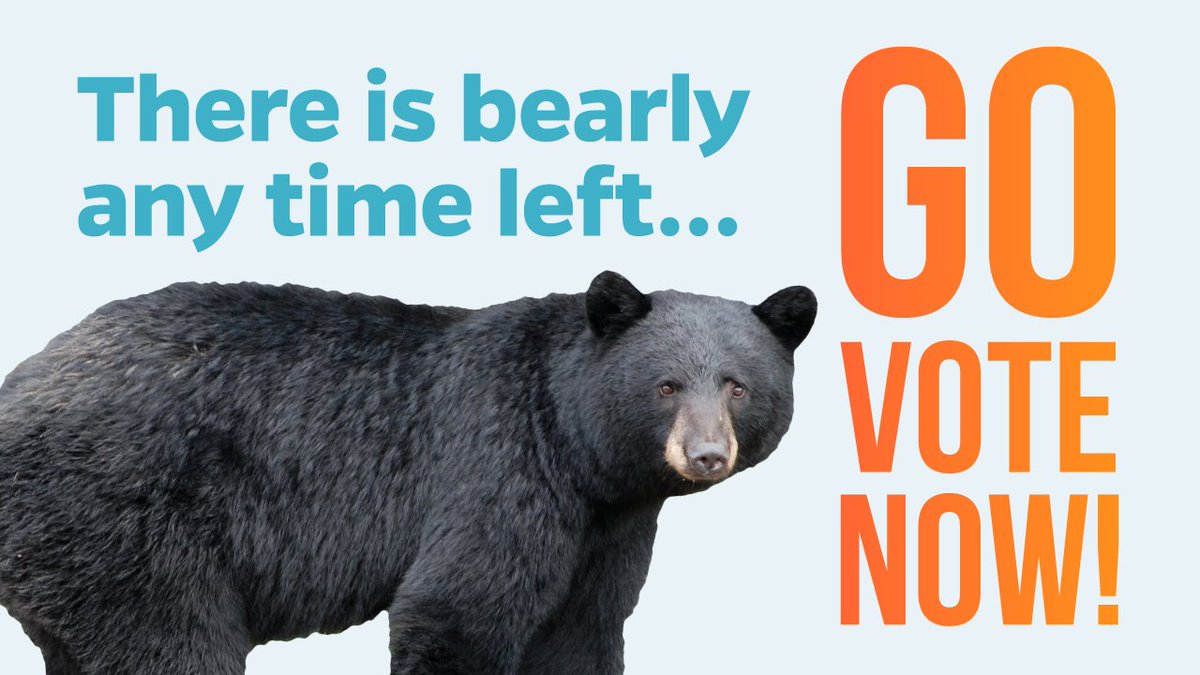 bcndp's tweet photo. Polls close at 8PM PT! If you haven't gotten your ballot in, go NOW! Every vote matters in this important election. 👉🗳️ https://t.co/cRsTAnB6cA #bcelxn2020 #bcelection #bcpoli https://t.co/cYPsmKaJbF