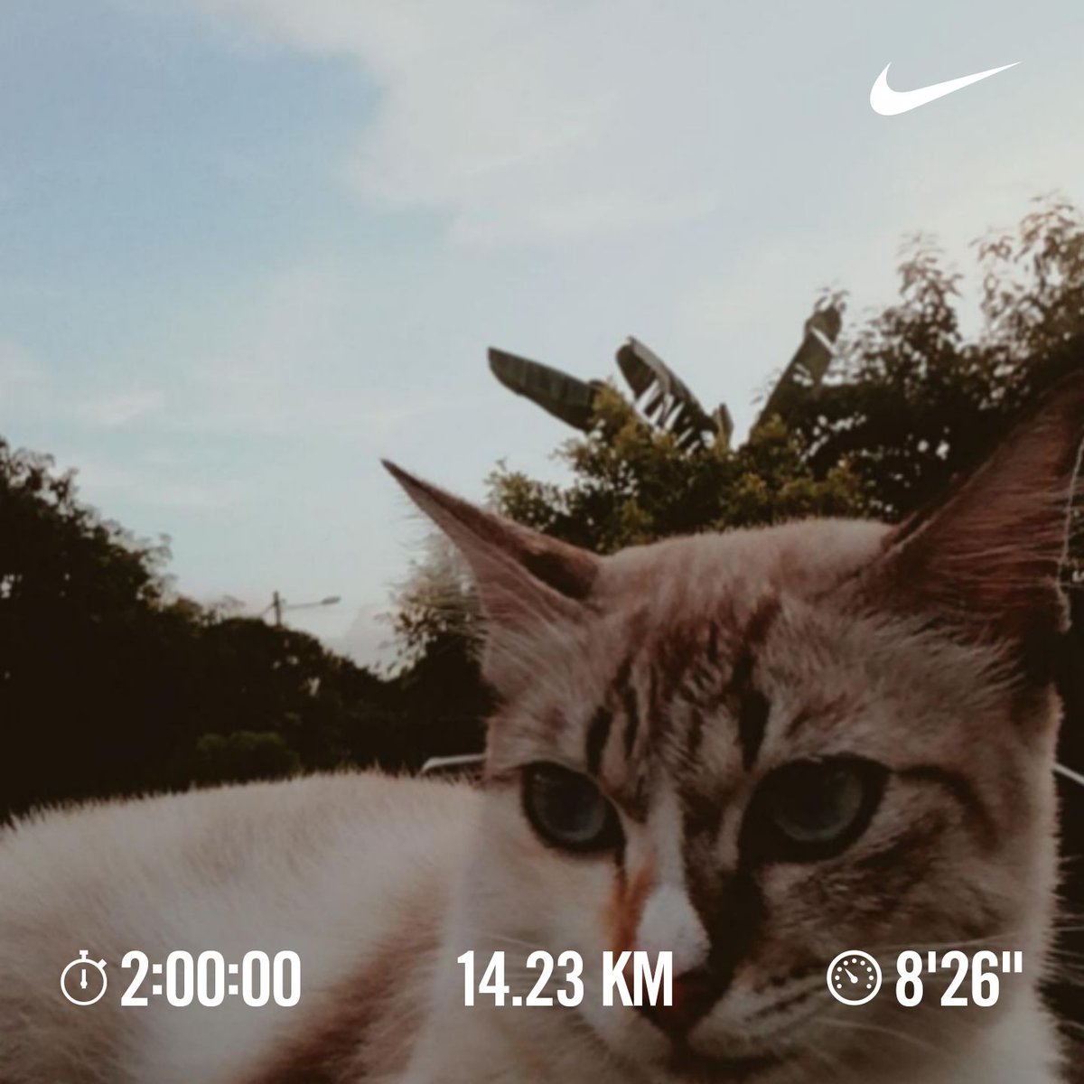 Done Long Run. #LongRunSunday https://t.co/qp4zX6l0Pb