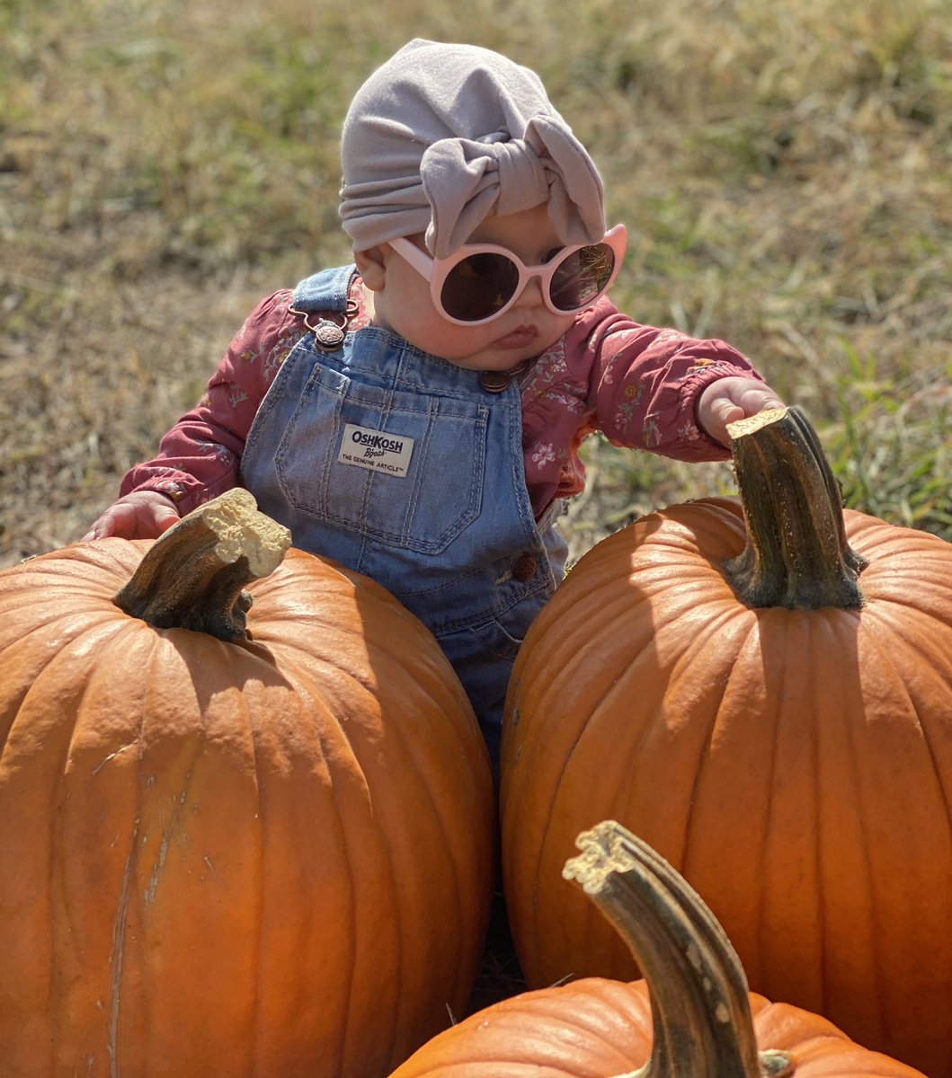NorthropBria's tweet photo. Hadley at the Pumpkin Patch https://t.co/yakG0gGRsN