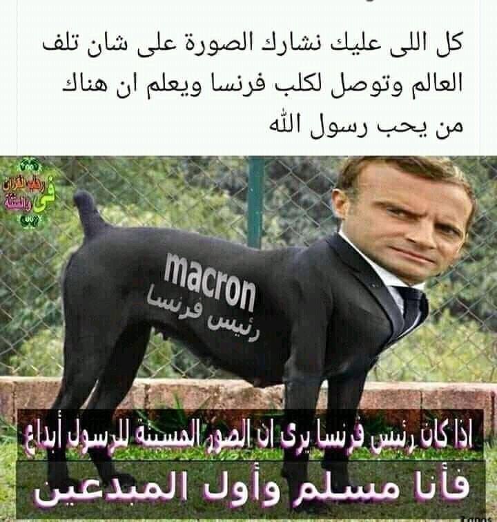 Sultan_alaliani's tweet photo. إلّا رسول الله فأخسئوو يا أعداء الله ، حان الوقت لمقاطعة المنتجات والعلاقات الفرنسيه ننتظر دعم الحكومات والمؤسسات والتجار لردع هذا المجرم ودولته البغيضه ، هنا تجب المقاطعه أكثر من غيرها. #الا_رسول_الله_يا_فرنسا https://t.co/0OZ6aN7aeN