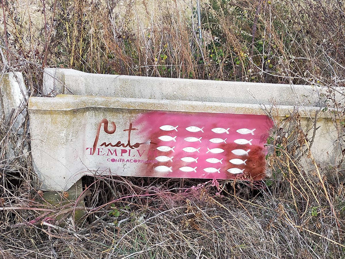 PuertoSierra's tweet photo. Lluvia, suelo mojado, resbalón y al suelo... lo bueno de caerse es siempre volverse a levantar.  #TemplvmAzudVillagonzalo
@Templvm
@PuertoSierra
#peces
40⁰54'26.5"N 5⁰'30.17.7"W, Villagonzalo, Salamanca.
https://t.co/vE1dpWmlZJ 
#ContraCorriente_Azud_029
#VientoaFavor https://t.co/bsul7Q5XUo