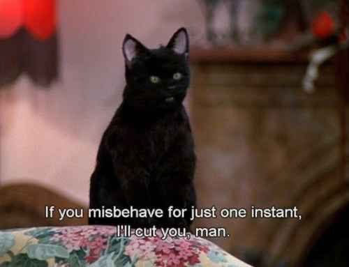 Transitioning…✨ tweet media