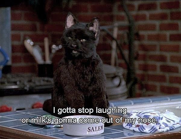 Transitioning…✨ tweet media