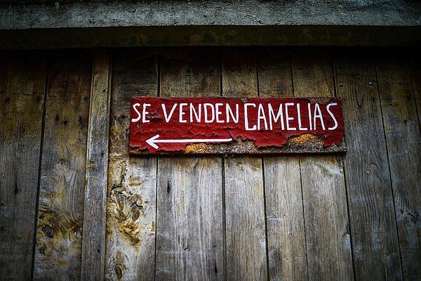 Inusualia's tweet photo. New artwork for sale! - "Walking the Camino de Santiago" - https://t.co/OfGTsU2Mca @fineartamerica https://t.co/ivXYBQLqkk