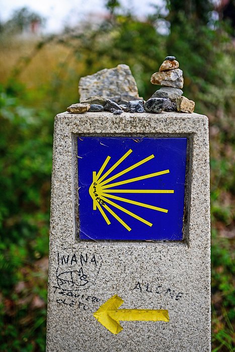 Inusualia's tweet photo. New artwork for sale! - "Walking the Camino de Santiago" - https://t.co/eD9P6ofJ8C @fineartamerica https://t.co/rZfgC195bW