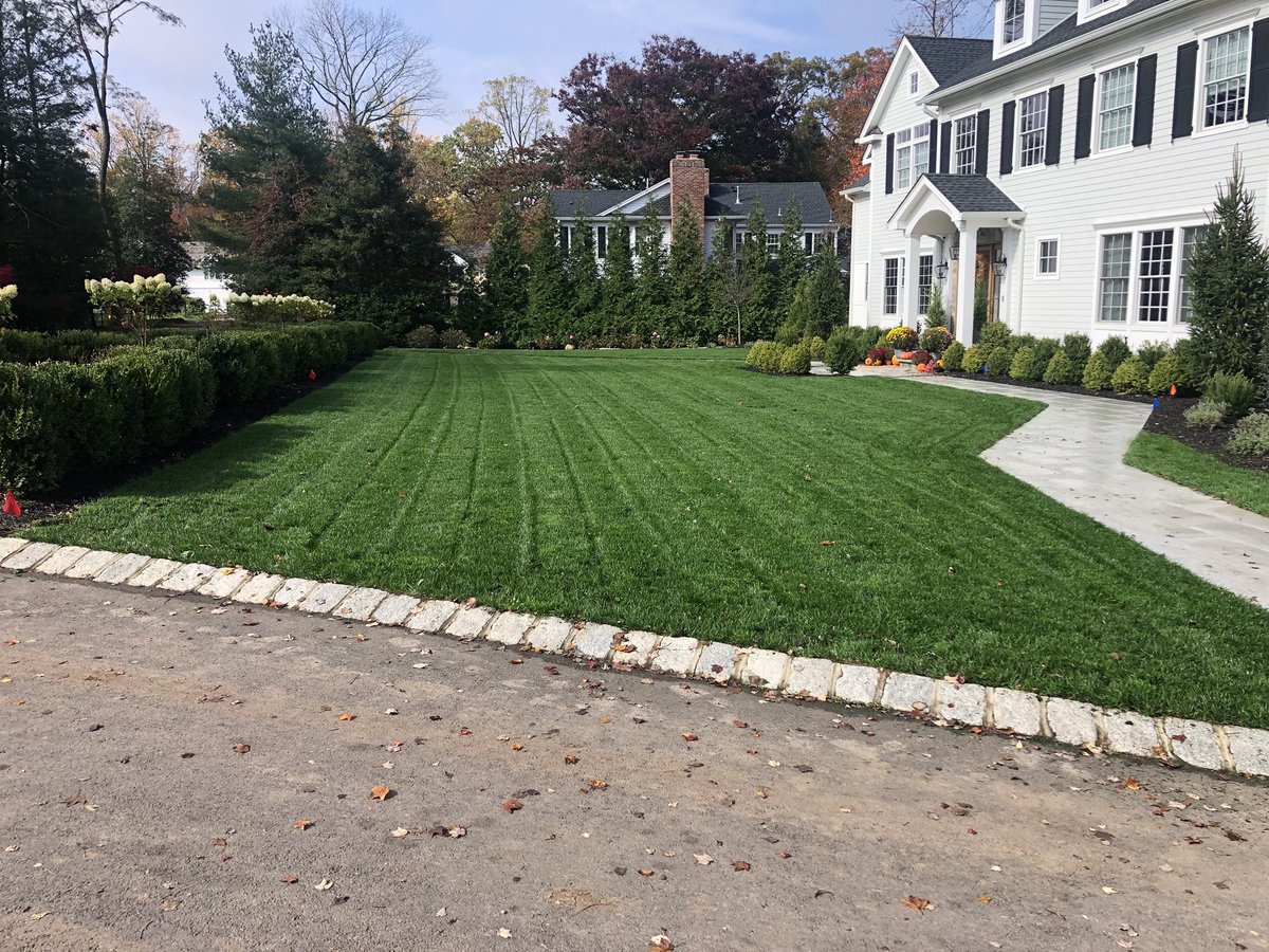 TheFredcoGroup tweet media