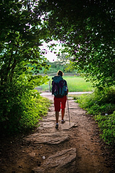 Inusualia's tweet photo. New artwork for sale! - "Walking the Camino de Santiago" - https://t.co/Q5ya5qBswS @fineartamerica https://t.co/ptFSVX5qSl