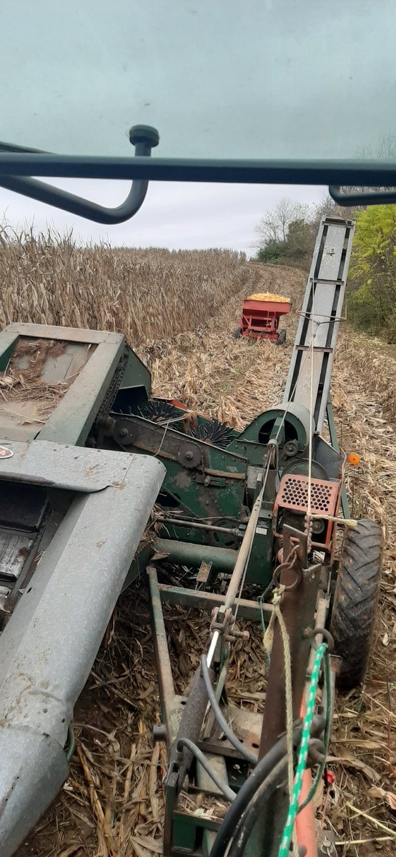 6Traffman's tweet photo. Waiting on a wagon #pickingcorn #ohwheredidwagonrunnergo https://t.co/woHDAOVQkQ