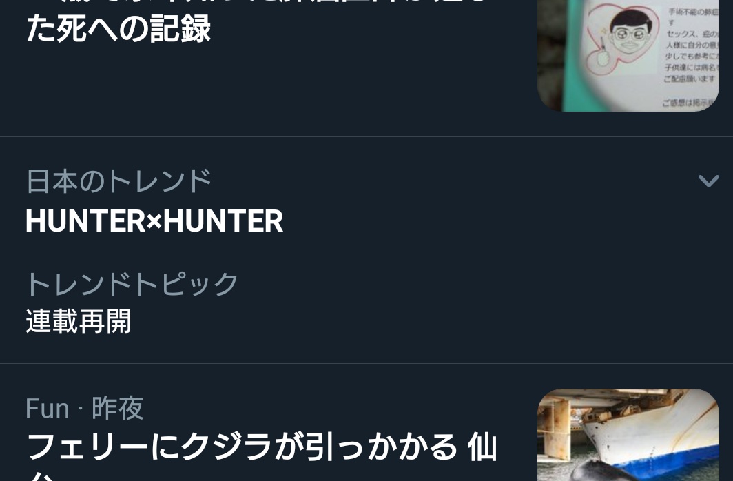 星間美佳 お白湯好き Hunter Hunter 幽白の巻数超えてるんや それだけですごいよ 例えワンピースと同時期に始まってこんなに巻数に開きがあったって 冨樫先生頑張ってる エラい ちなみに私は幽白オタクだけど1番レベルeが好き