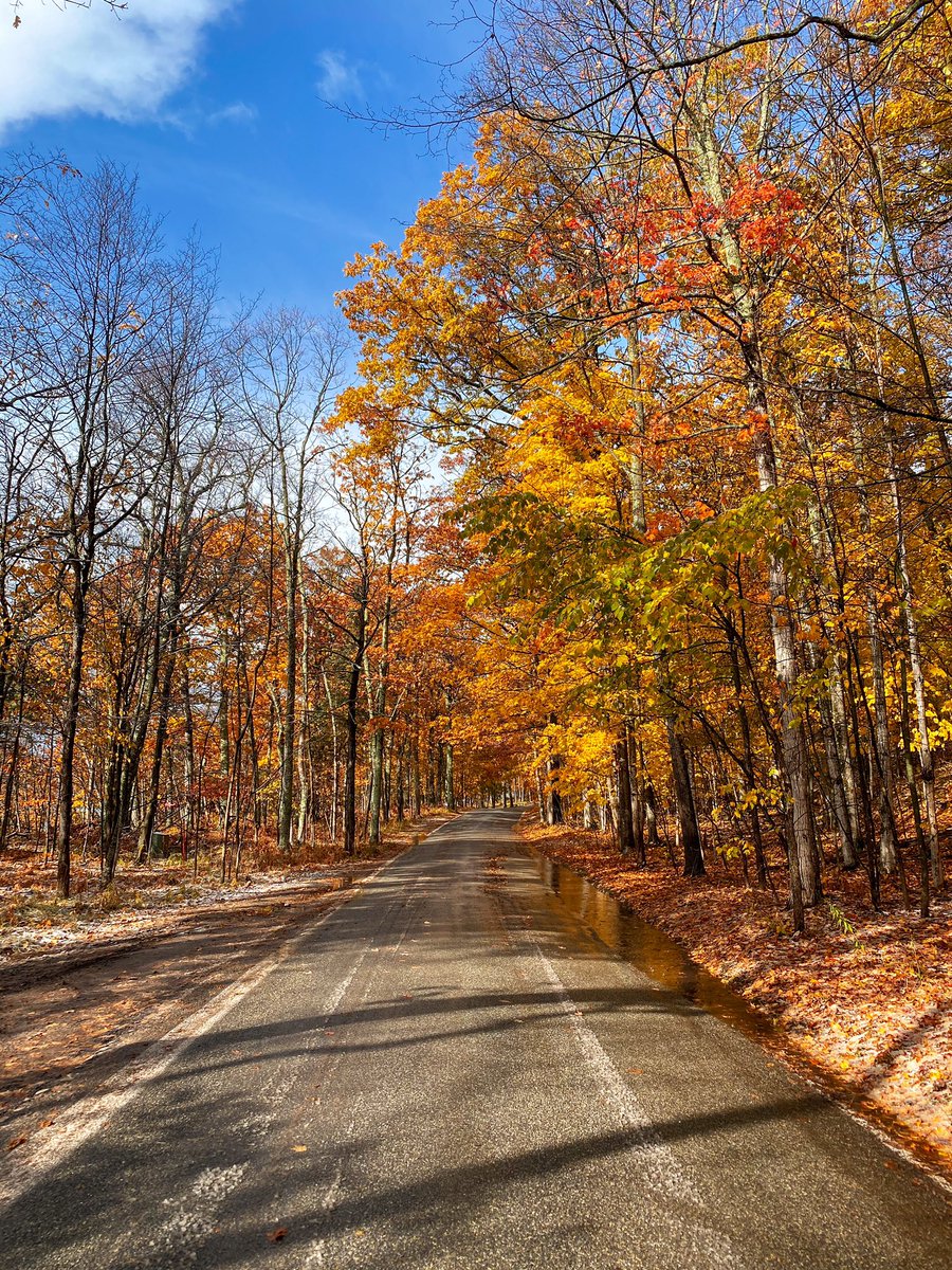 TheReelJerstin's tweet image. We discovered the Tunnel of Trees on M-119. The scenic route of trees runs for 27.5 miles along the coast of Lake Michigan. #PureMichigan #TunnelOfTrees