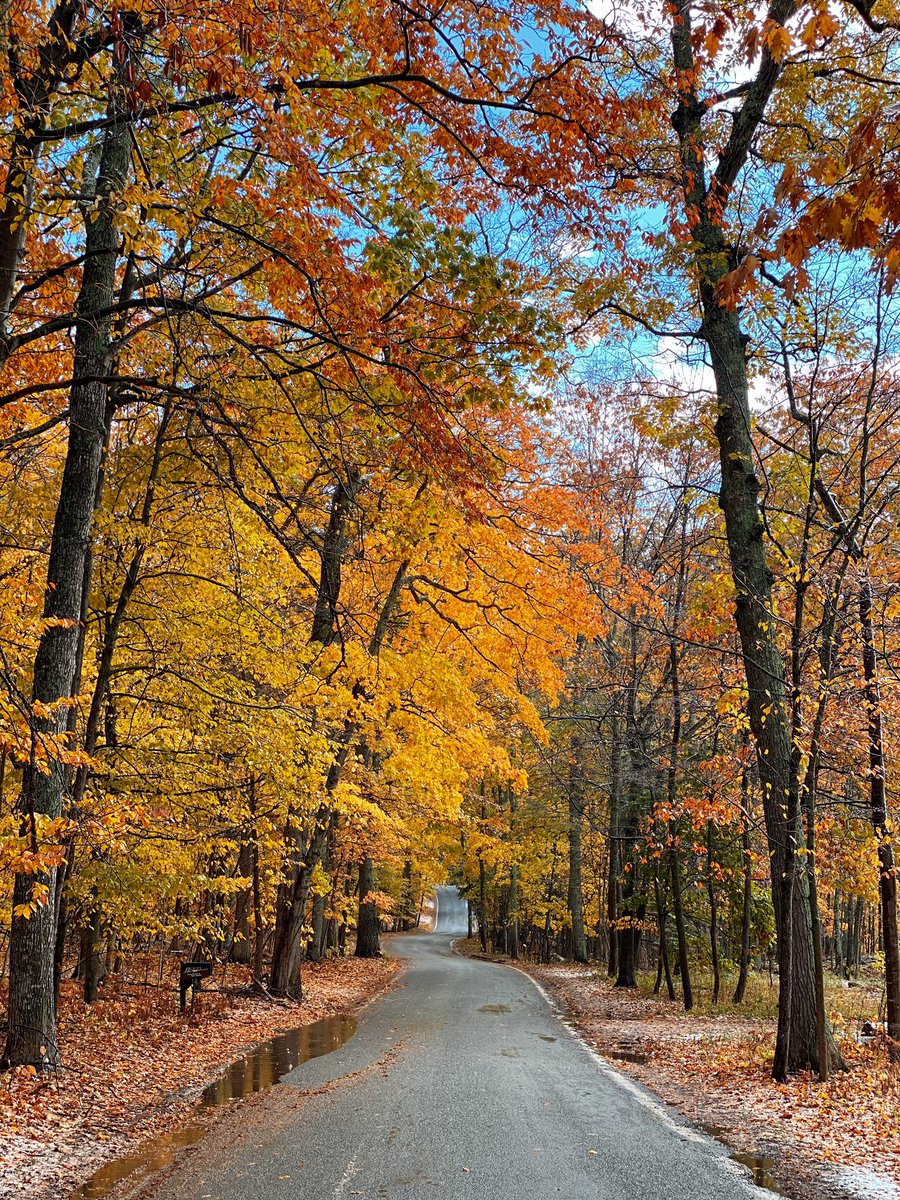TheReelJerstin's tweet image. We discovered the Tunnel of Trees on M-119. The scenic route of trees runs for 27.5 miles along the coast of Lake Michigan. #PureMichigan #TunnelOfTrees