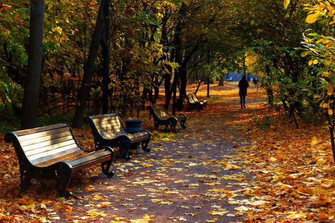 The autumn🍂 mood hits very hard on sleep and work. I constantly want to sleep, so now there are few new<a href="/tag/sleep"class="tags"><span>#sleep</span></a><a href="/tag/autumn"class="tags"><span>#autumn</span></a>