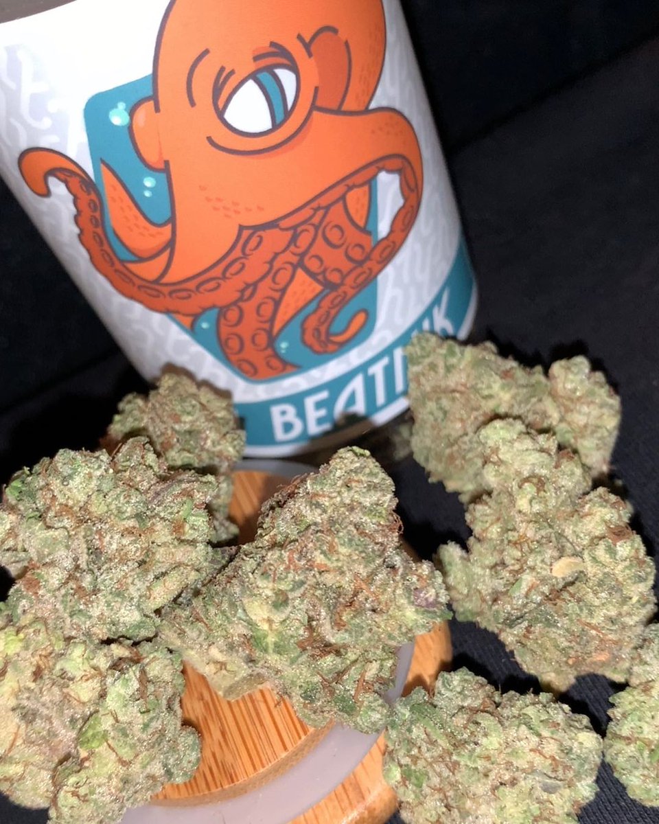 LA Beatnik(kush Mints x OG Kush)
#weed #weedlovers #weedsmokers #weedforsale #420friendly #wakeandbake #cannabisgrow #cannabiscommunity #runtz #cannbisculture #420fam #maryjane #girlswhosmoke #reefer #blaze #joint #stoned #bud https://t.co/FISBT99qYD