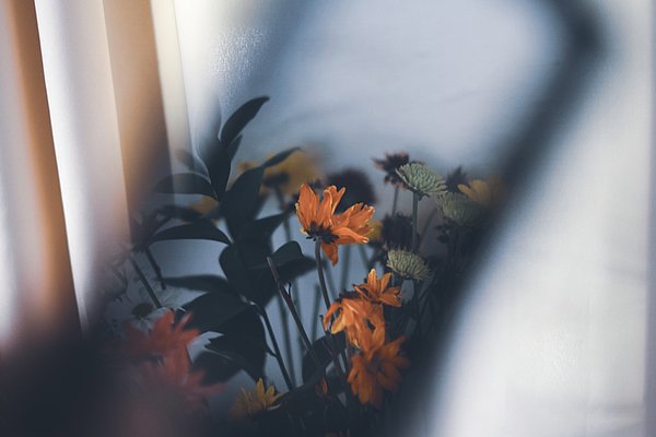 Inusualia's tweet photo. New artwork for sale! - "Flowers in mirror" - https://t.co/uryFECCjJg @fineartamerica https://t.co/RFv30b8tGI