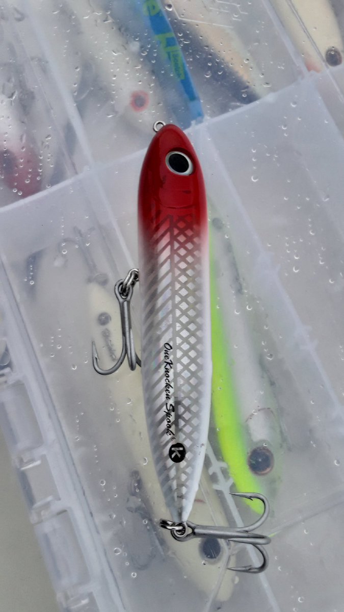 AmbassadorsHunt's tweet photo. Fishing top water! https://t.co/q2i81351KX