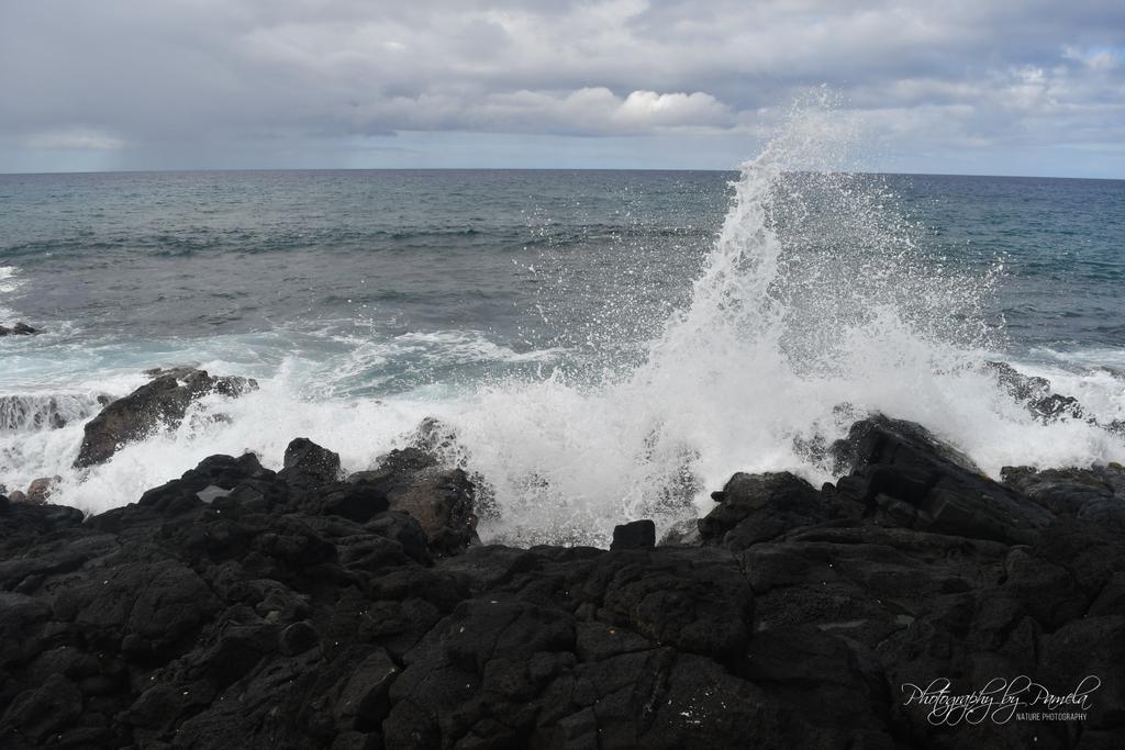 photos96743's tweet photo. I can sit and watch the ocean all day. Love to see the waves crashing to shore.
#photographybypamela808 #ocean #powerfulocean #seascape #naturephotography #oceanphotography #waves #wavescrashing #cloudyday https://t.co/cBiNGRJrFl